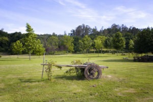 Carro restaurado del pazo