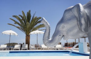 Elefante con trompa arriba