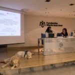 Proyección en las Jornadas