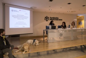 Proyección en las Jornadas
