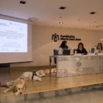 Proyección en las Jornadas