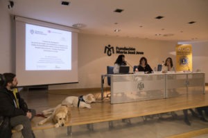 Proyección en las Jornadas