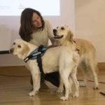 Perros de terapia como facilitadores terapéuticos
