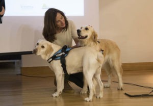 Perros de terapia como facilitadores terapéuticos