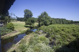 Vistas desde las habitaciones