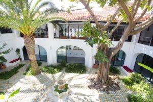 Árboles en Hacienda Na Xamena